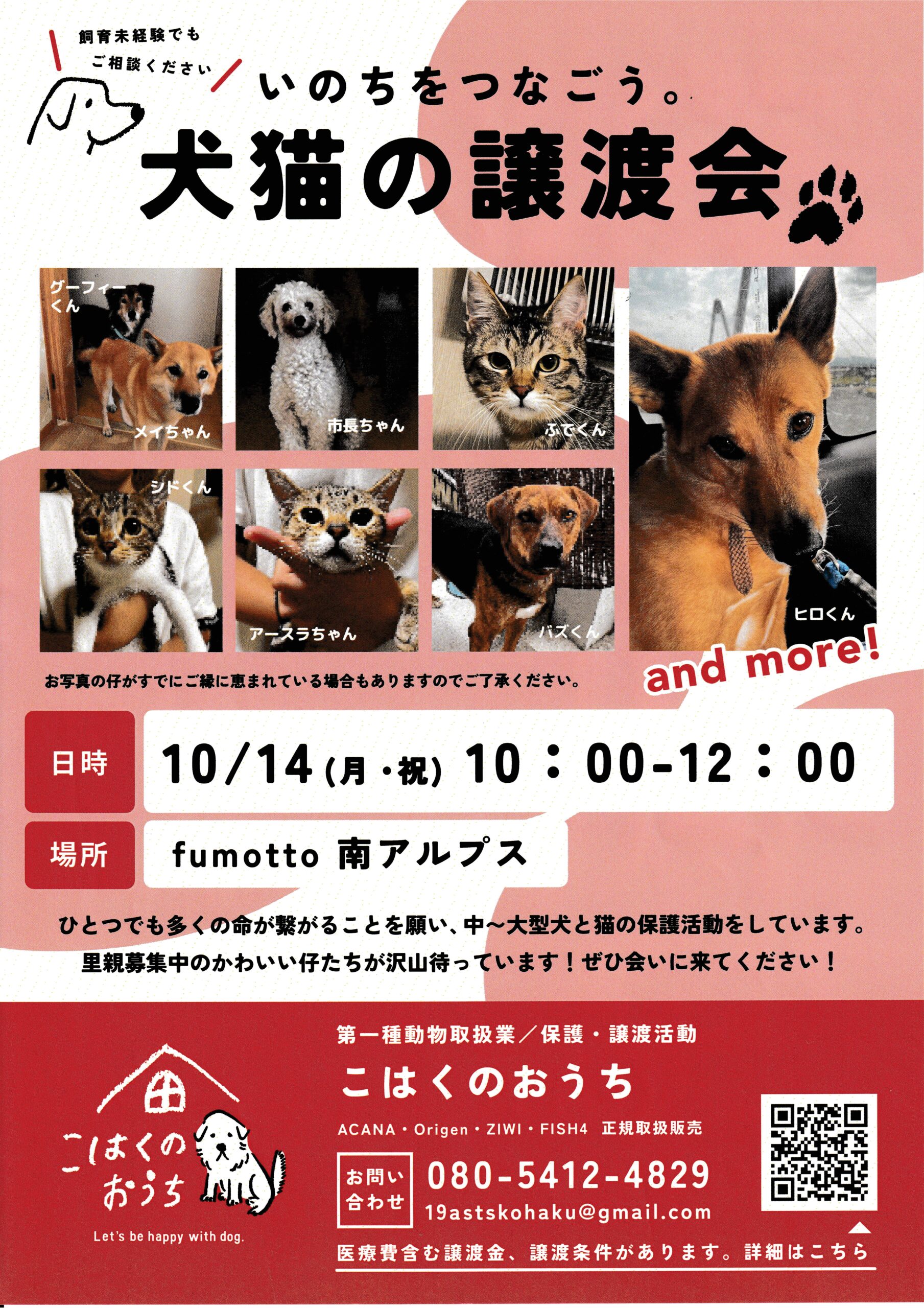 【終了】10/14｜犬猫の譲渡会