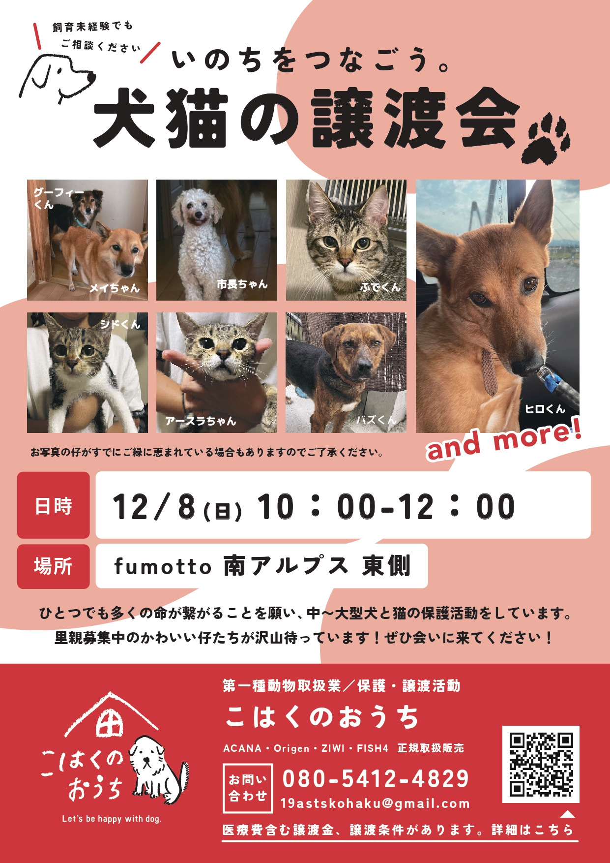 12/08｜第2回犬猫の譲渡会