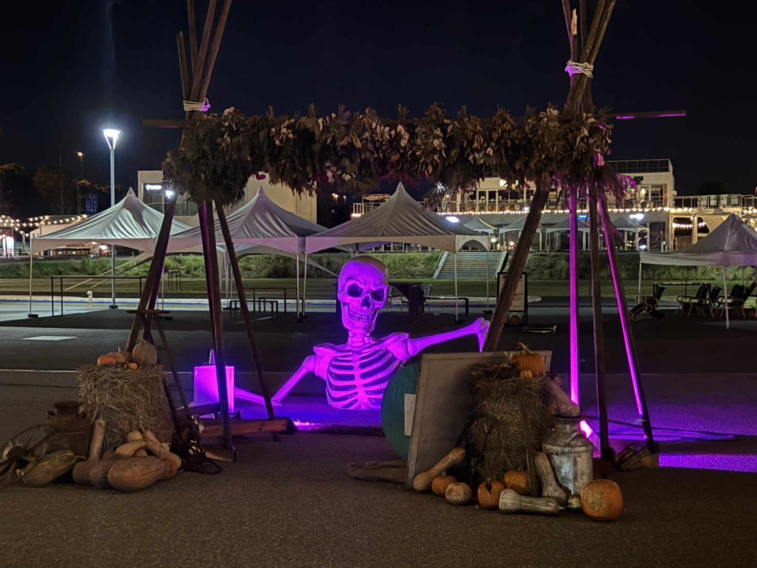 かぼちゃの重さ当てクイズ結果発表！