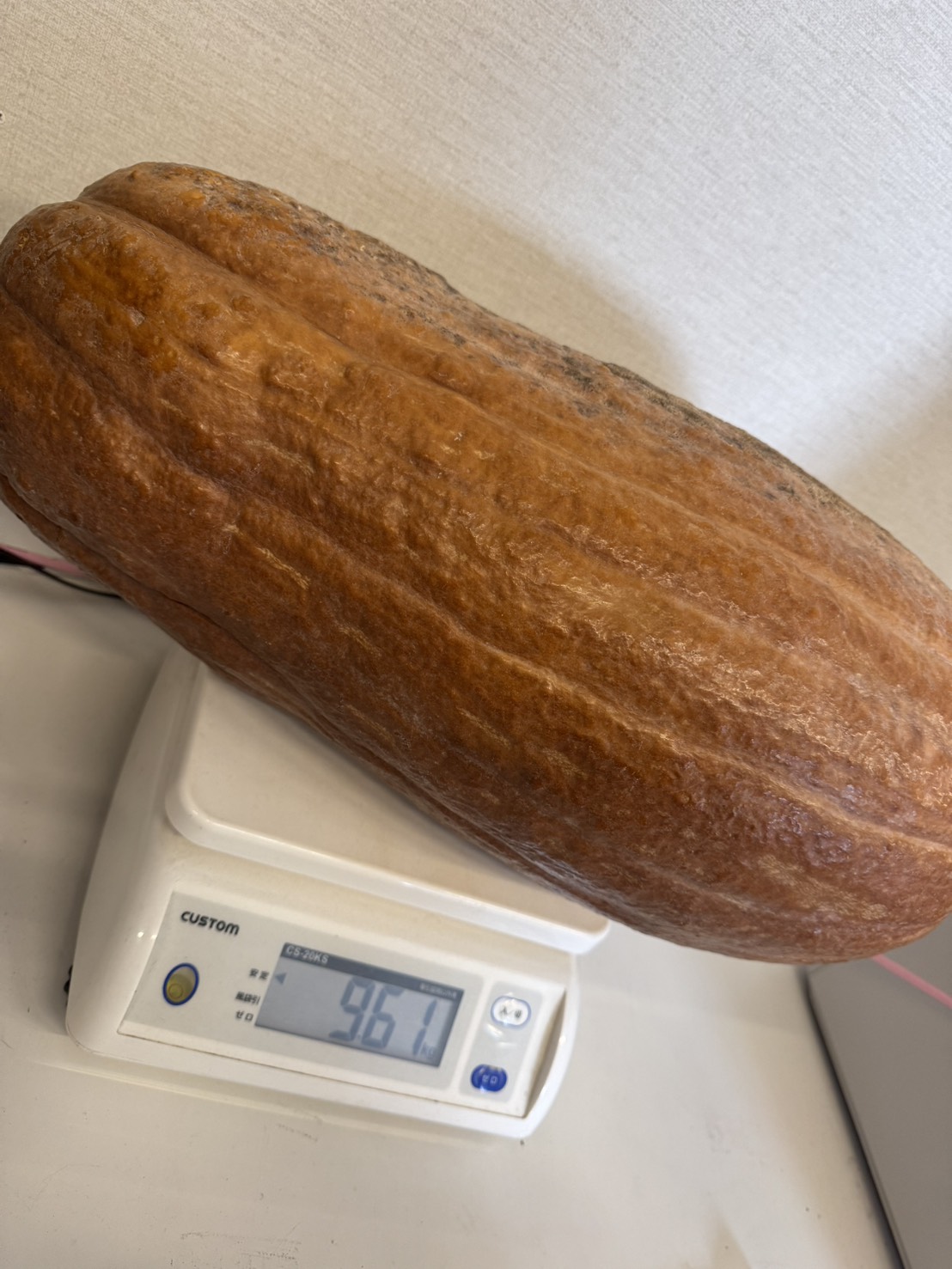 かぼちゃの重さ当てクイズ結果発表！