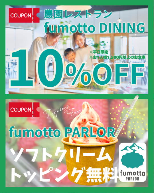 公式LINE、始めました!