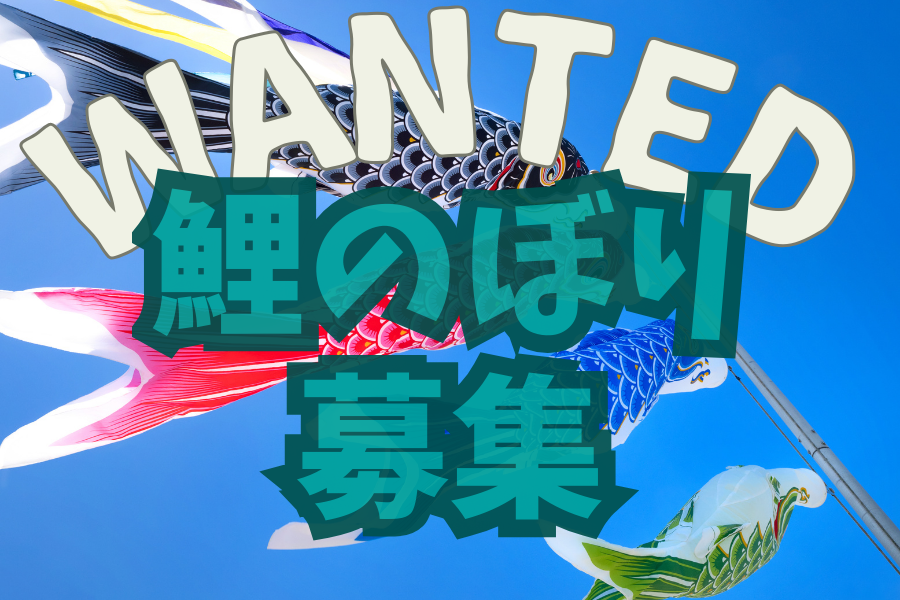 おうちに眠っている鯉のぼり、今年も募集します！